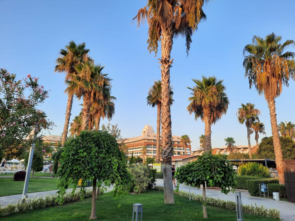 Außenansicht TUI MAGIC LIFE Jacaranda