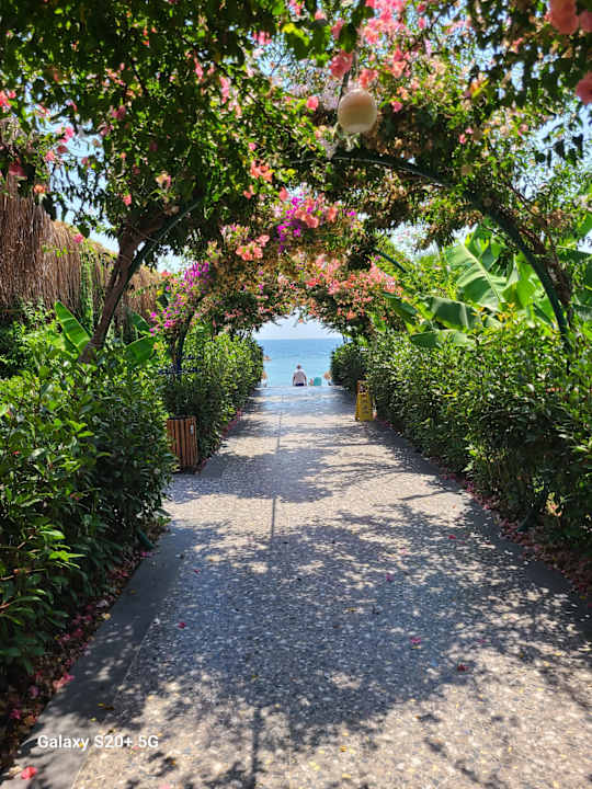 Gartenanlage Rubi Platinum Sign