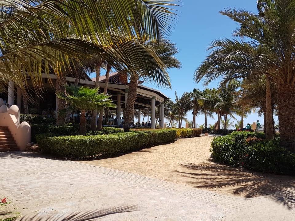 Garten Hotel Riu Cabo Verde