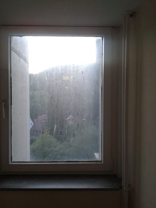 Fenster Panoramic - Ihr Apartmenthotel im Harz
