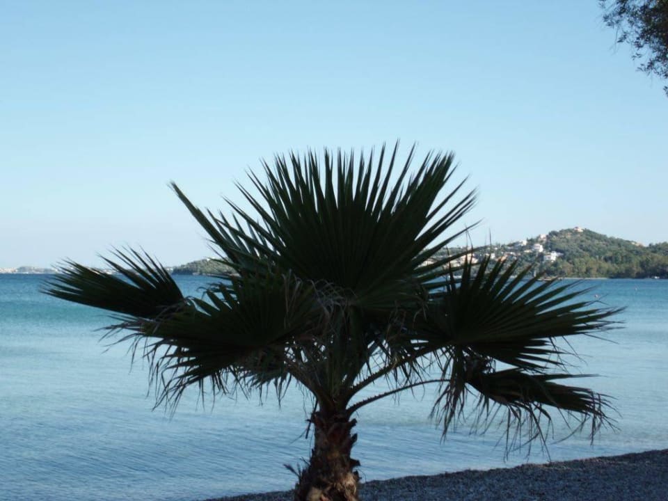 Strand Magna Graecia