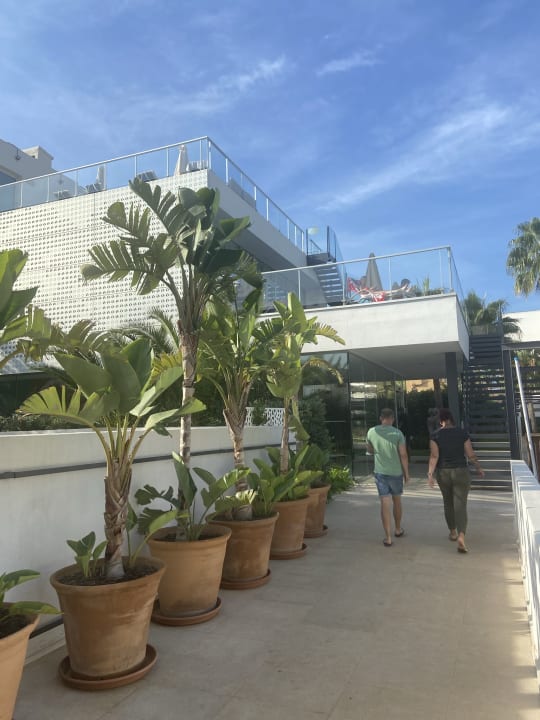 Außenansicht JS Palma Stay