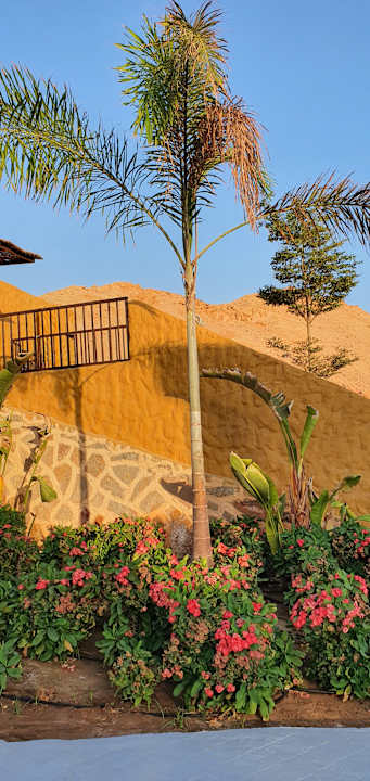 Gartenanlage Pickalbatros Vita Resort - Portofino Marsa Alam