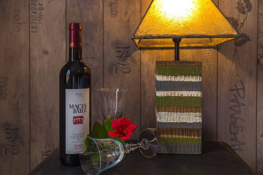 Correlimos 3 El Nido Alaro