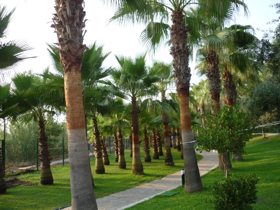 Der Weg zum Strand Miramare Queen Hotel