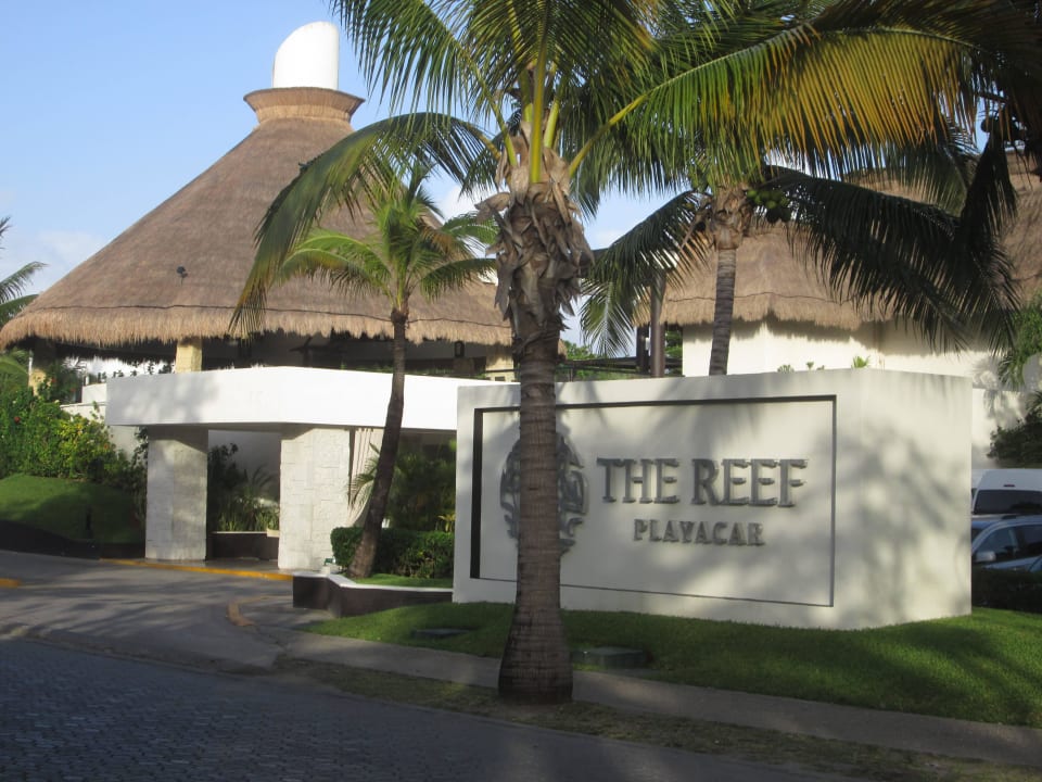 Haupteingang The Reef Playacar