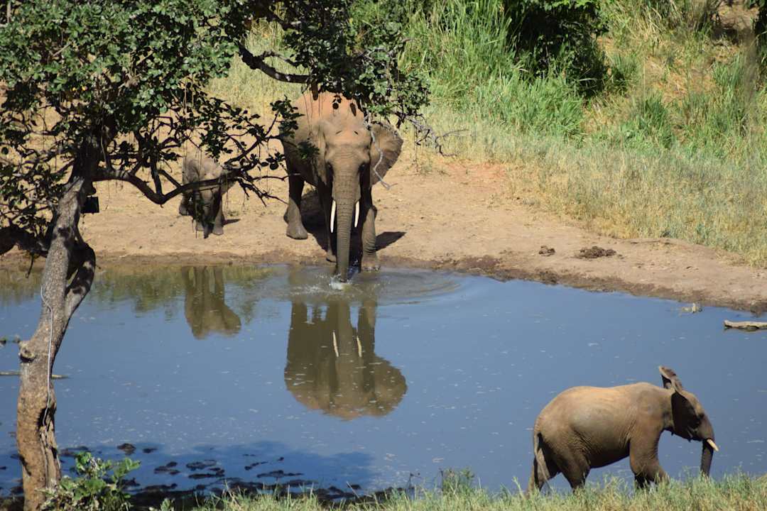 Blick von unserer Terrasse zum Wasserloch Rhino Valley Lodge