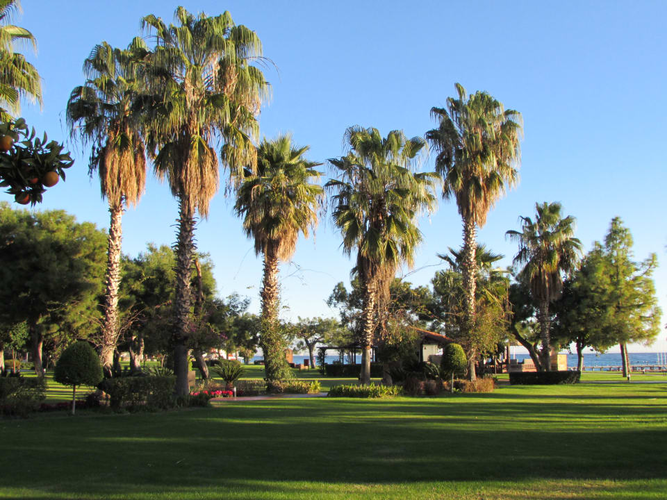 Gartenanlage TUI MAGIC LIFE Beldibi +16