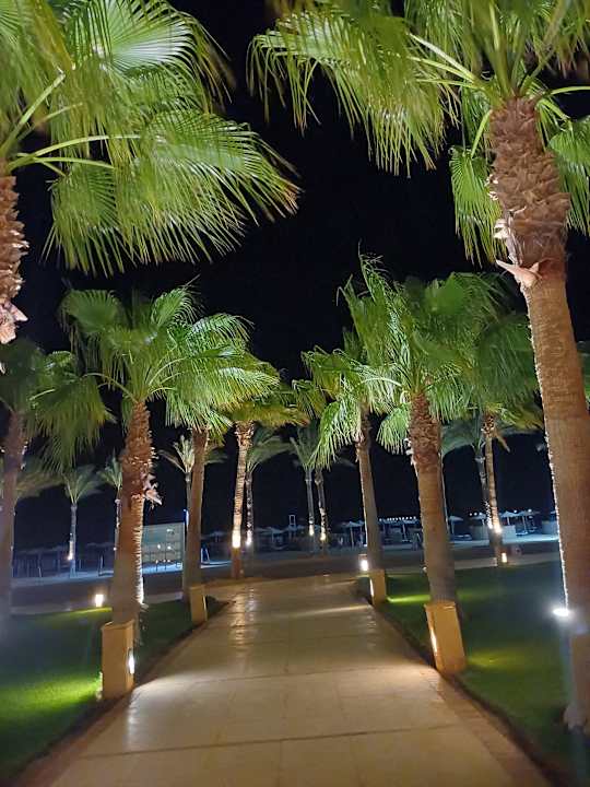 Gartenanlage Casa Mare Resort