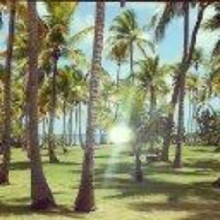 Sonnenuntergang Wyndham Alltra Samana