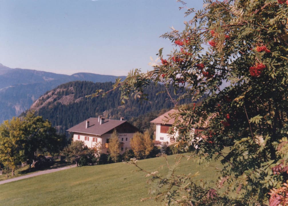 Der Steinerhof Steinerhof in Hafling