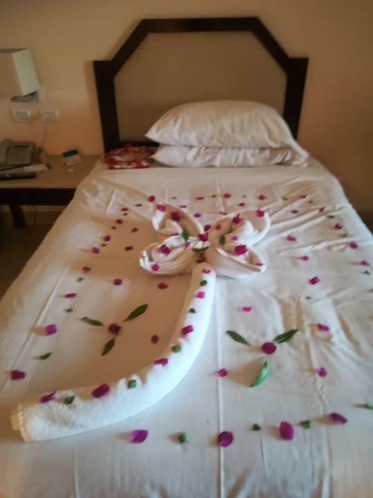 Zimmer Continental Hotel Hurghada