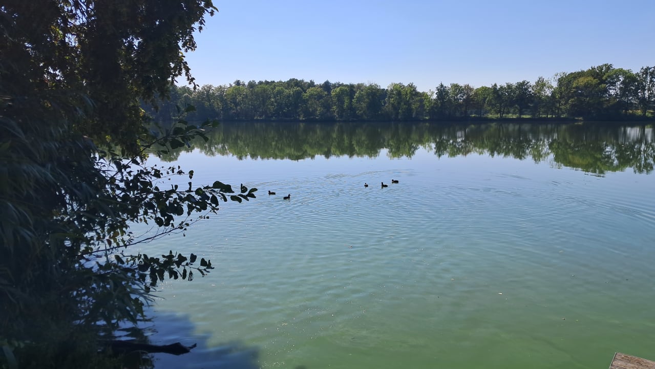 Ausblick Haus am See