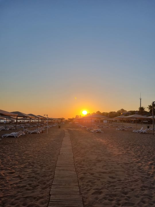 Strand Kamelya Aishen Club