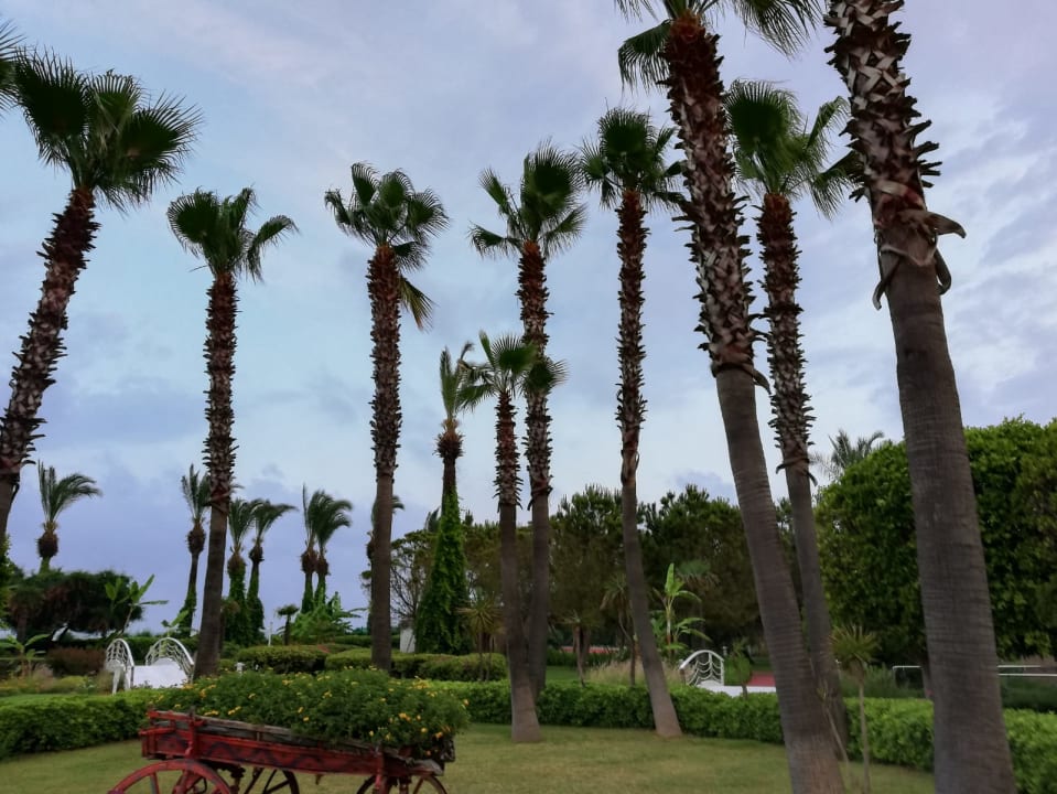 Gartenanlage Hotel Miracle Resort