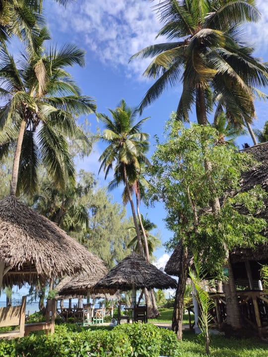 Gartenanlage Zanzibar Bay Resort & Spa