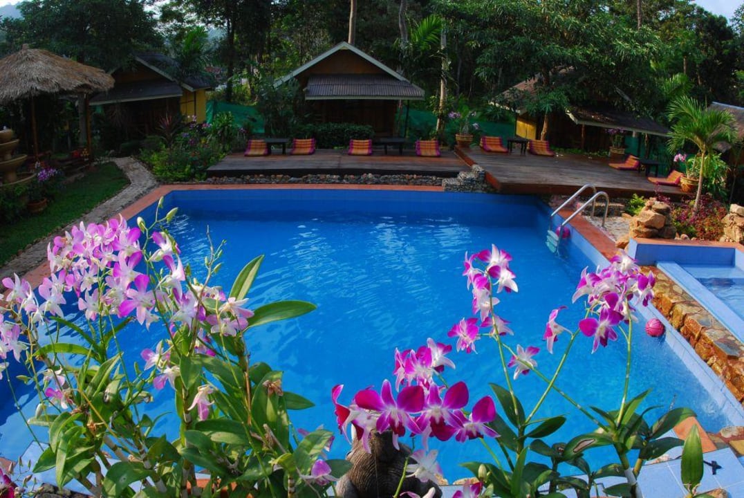 Pool Hotel Orchid Resort
