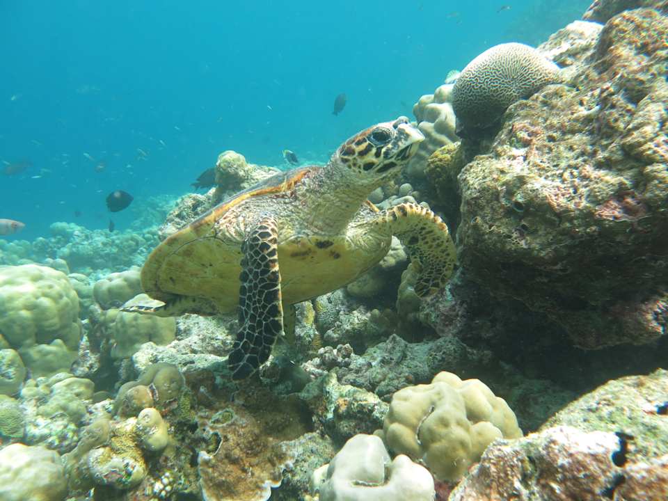 Strand NH Collection Maldives Reethi Resort