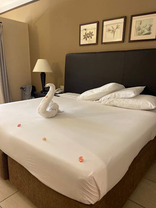 Zimmer Jaz Lamaya Resort