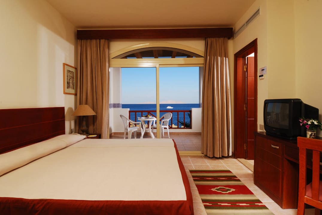 Shores Aloha Room Amphoras Blu