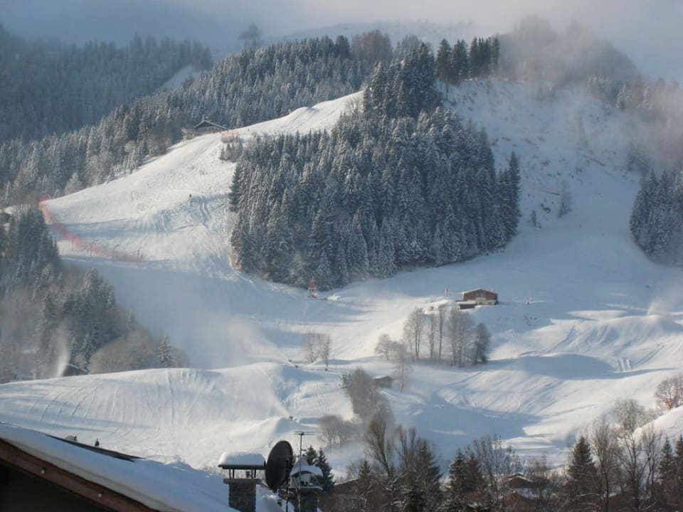 Zielhang Streifabfahrt Hotel Zur Tenne