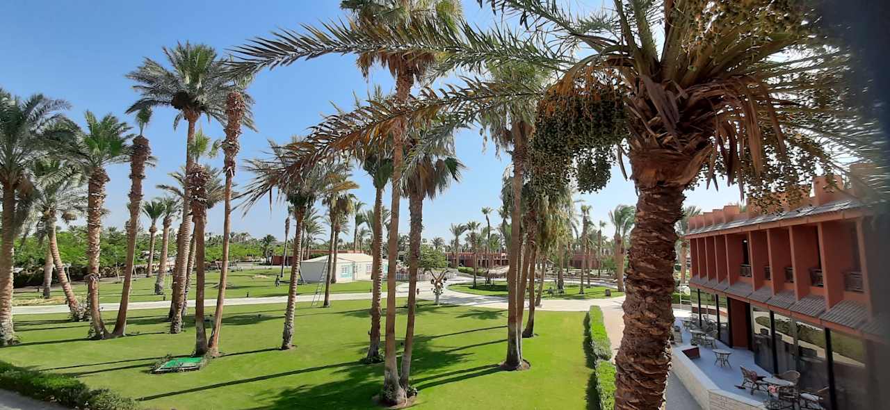 Gartenanlage Calimera Blend Paradise