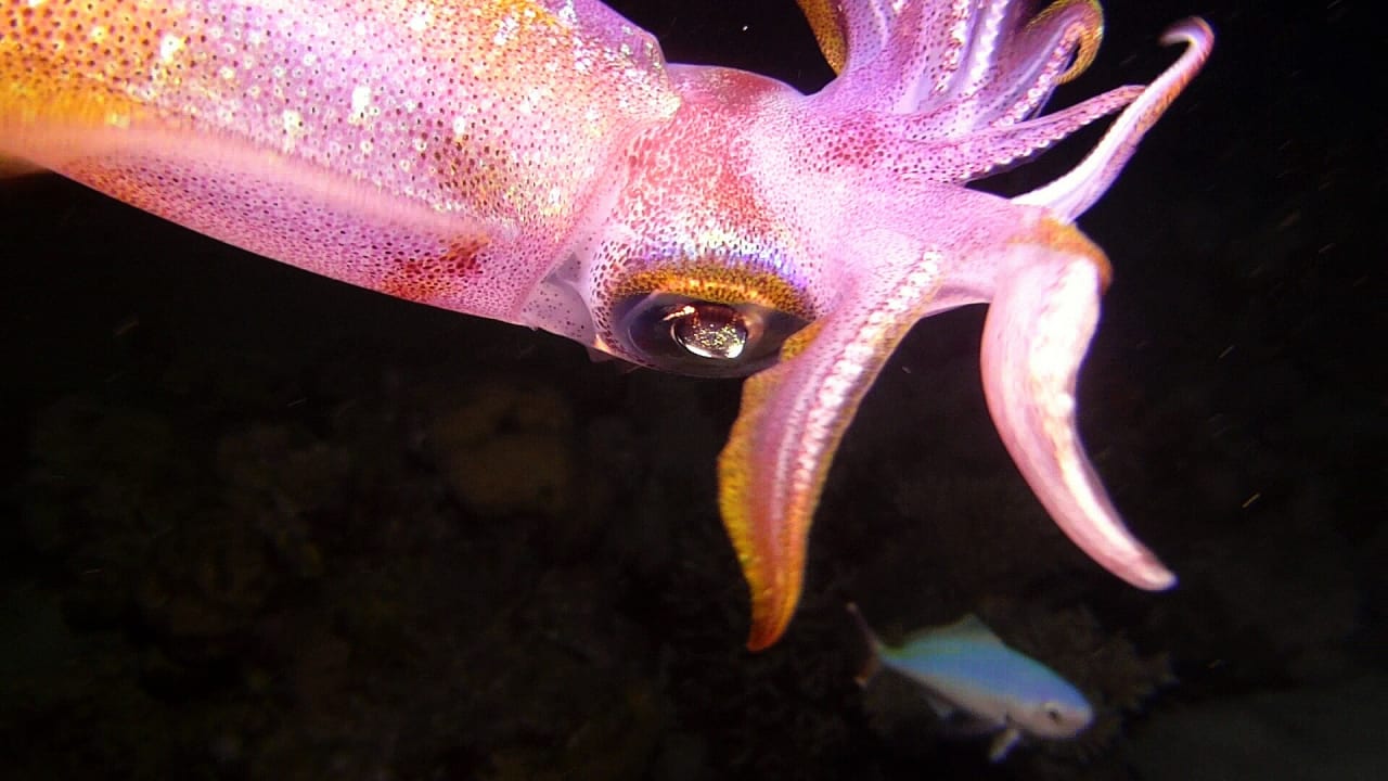 Strand Casa Mare Resort