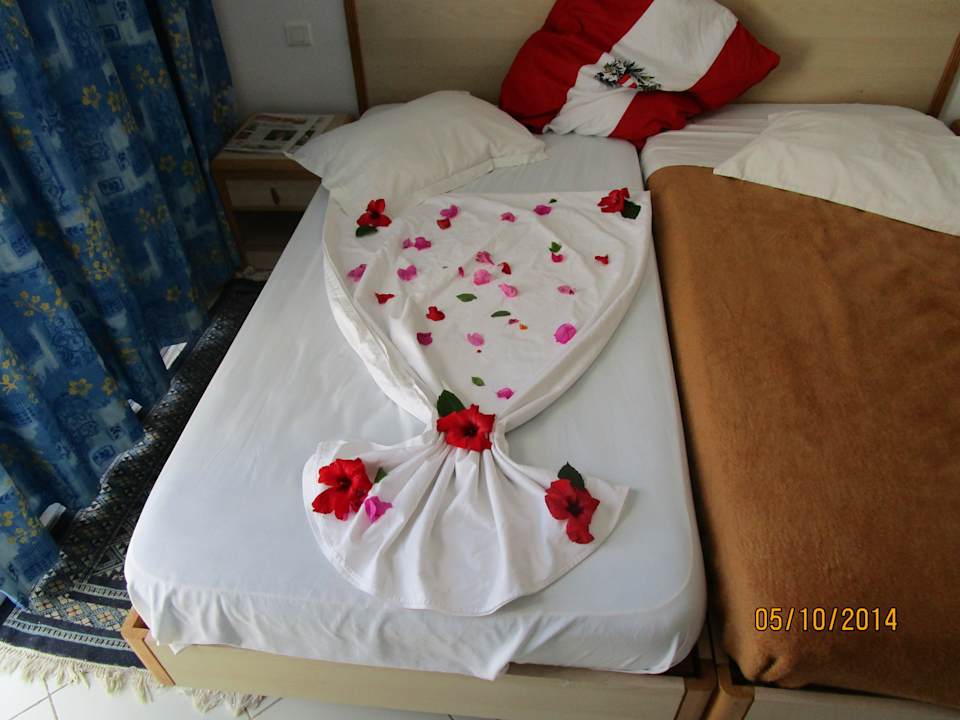 Einfach TOLL ! Hotel Nesrine