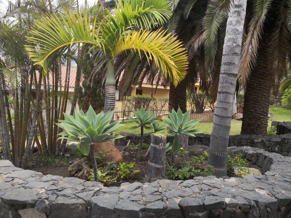 Garten Apartments Playa de los Roques