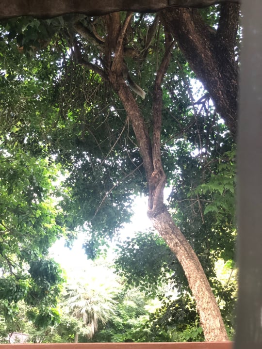 Gartenanlage Woodlands Hotel & Resort