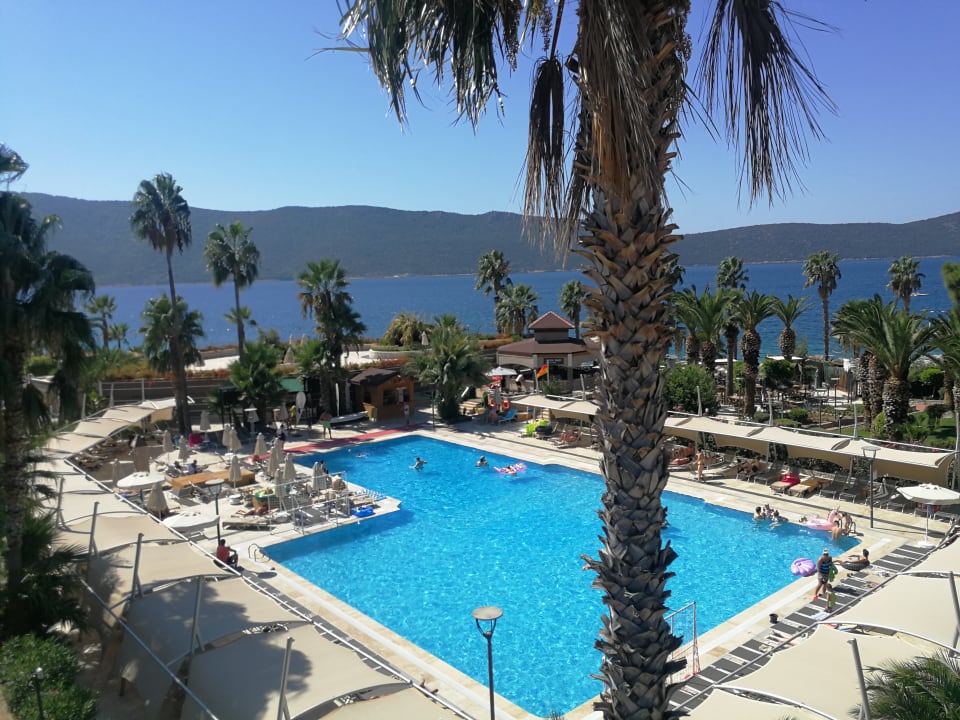 Pool TUI MAGIC LIFE Bodrum - Adult Only (16+)