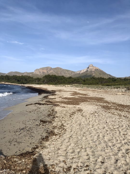Strand Es Blau des Nord