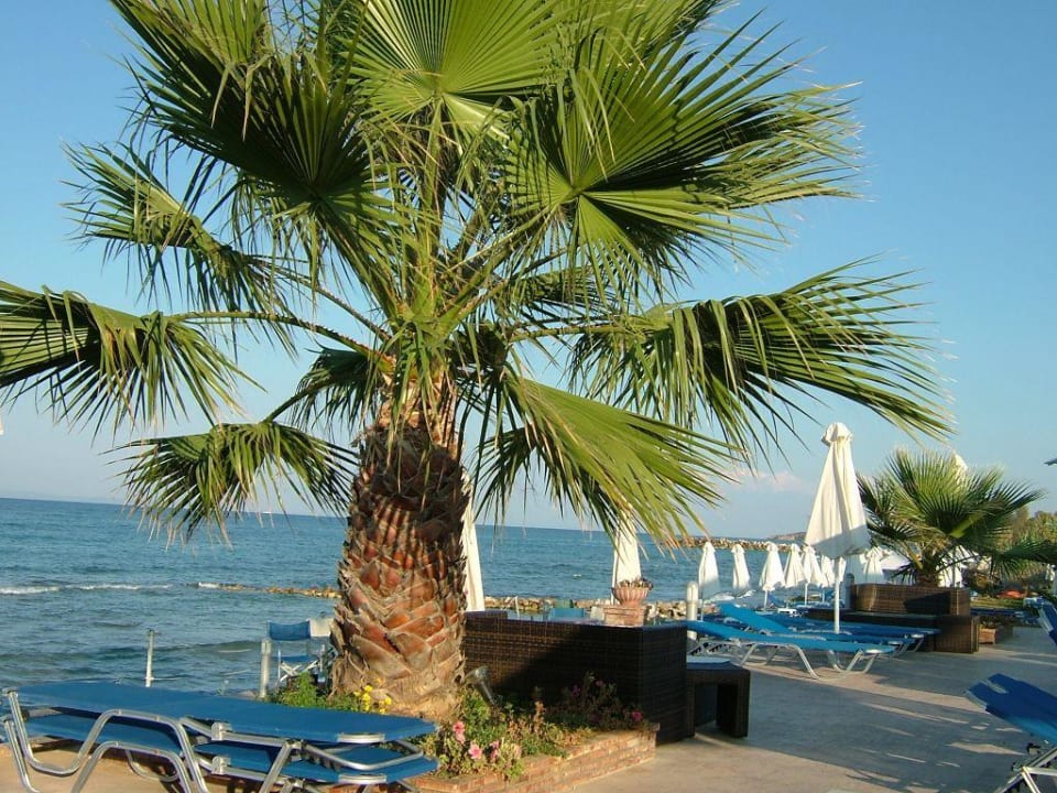 Strand-, Poolbereich Hotel Belussi Beach