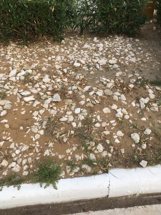 Gartenanlage Sandy Beach Resort