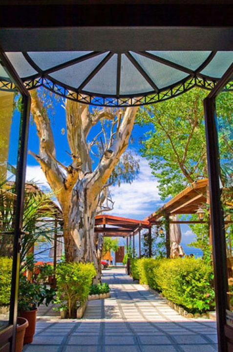 Enalion Hotel Kala Nera Hotel Enalion