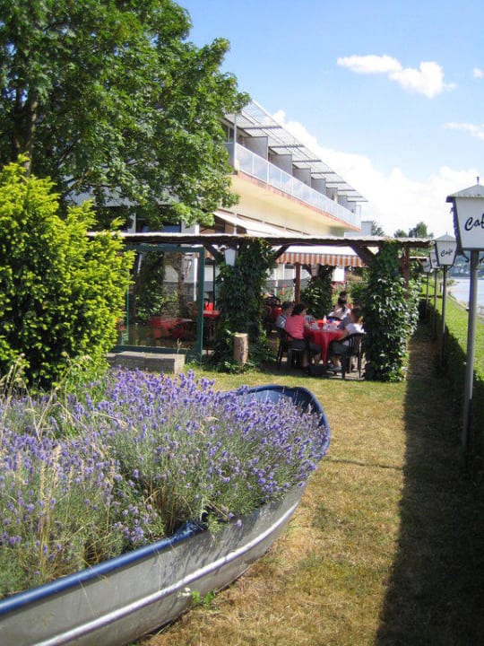 Terrasse Hotel Rheinkönig