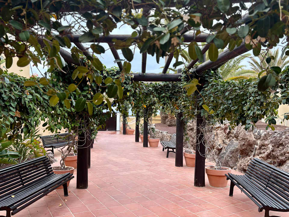 Gartenanlage H10 Playa Esmeralda - Adults only