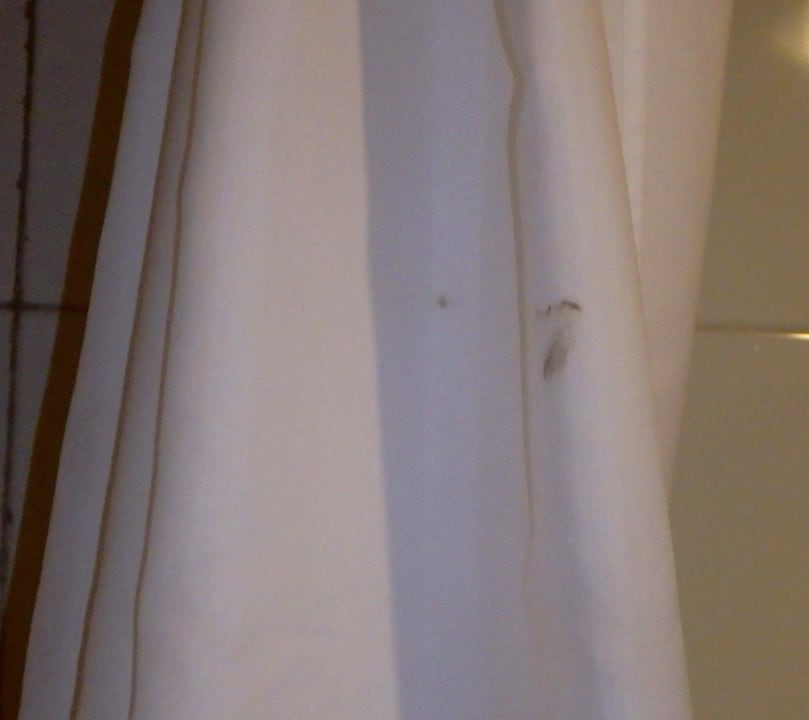 Stained Sol Rio De Luna y Mares