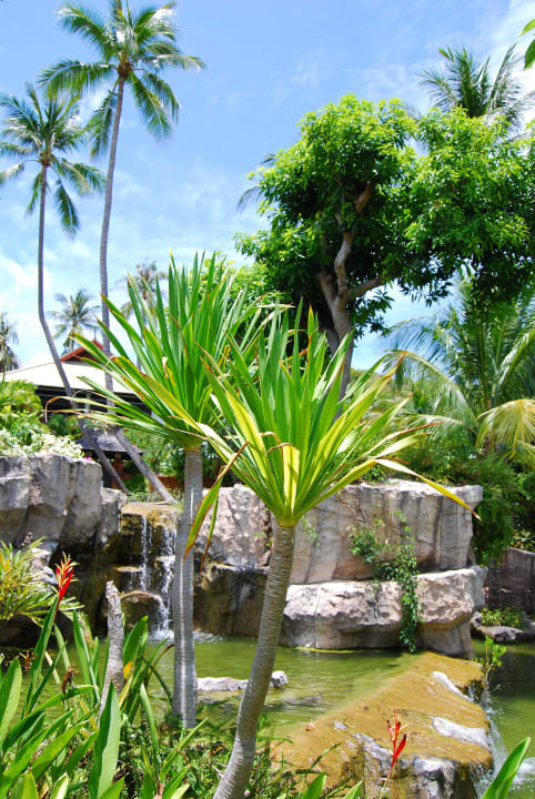 Melati Beach Resort Melati Beach Resort & Spa