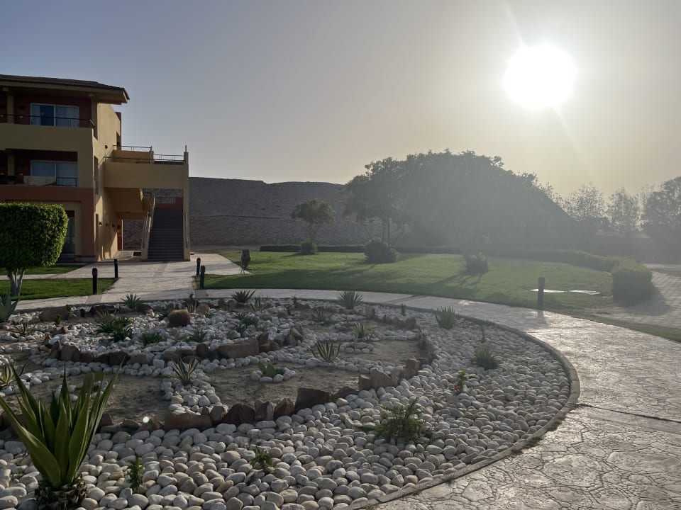 Gartenanlage Malikia Resort Abu Dabbab