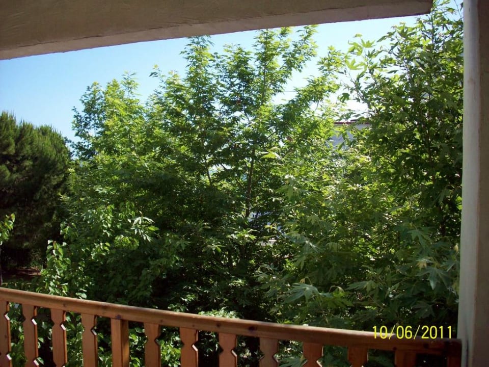 Das ist "der seitlicher Meerblick" Hotel Defne Garden