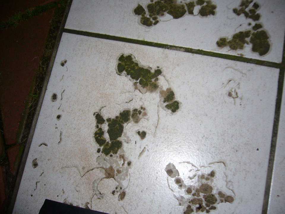 Haupteingang Gästehaus Hotel am Kaiserbrunnen