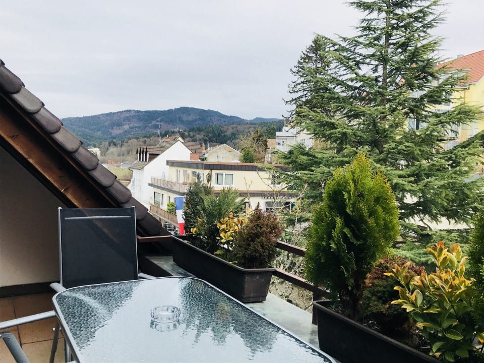 Ausblick Park-Appartements