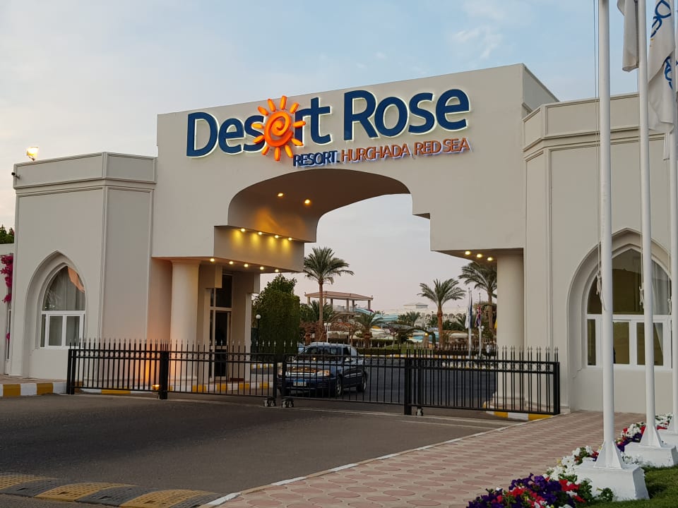 Sonstiges Desert Rose