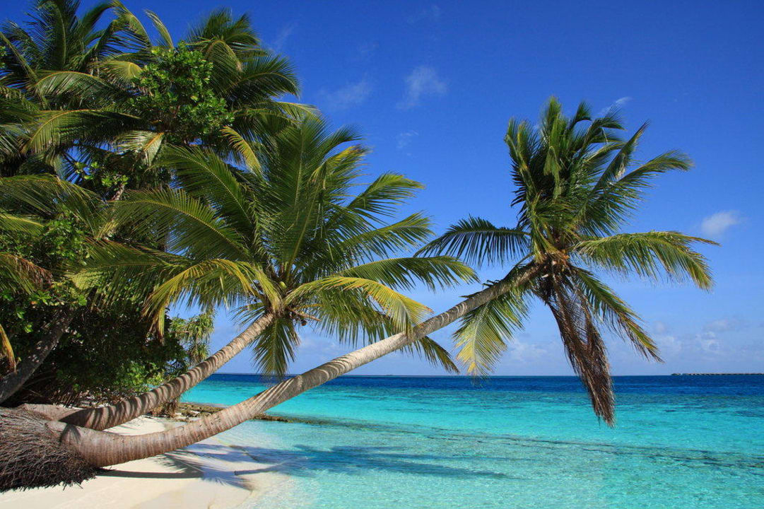 Hotel Vilamendhoo Island Resort Vilamendhoo Island Resort & Spa