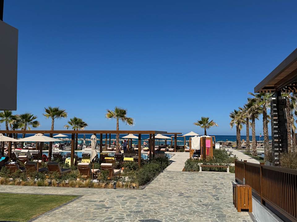 Gartenanlage allsun Hotel Carolina Mare