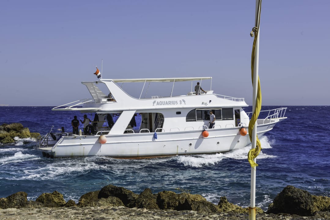 Tauchboot Aquarius Pickalbatros Citadel Resort