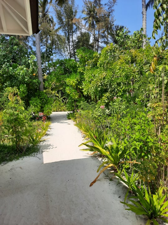 Gartenanlage Sun Siyam Olhuveli