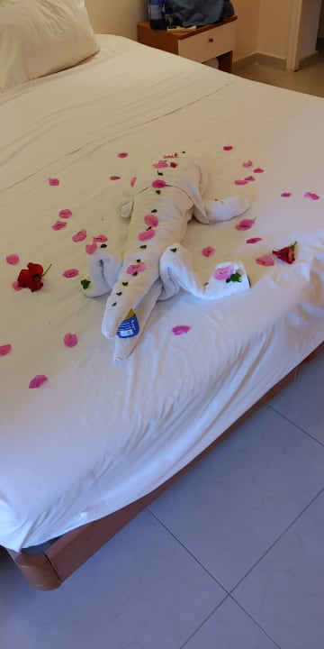 Zimmer Apollon Hotel