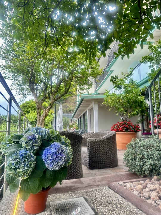 Gartenanlage Relax Hotel Villa La Gardenia & Oleandra